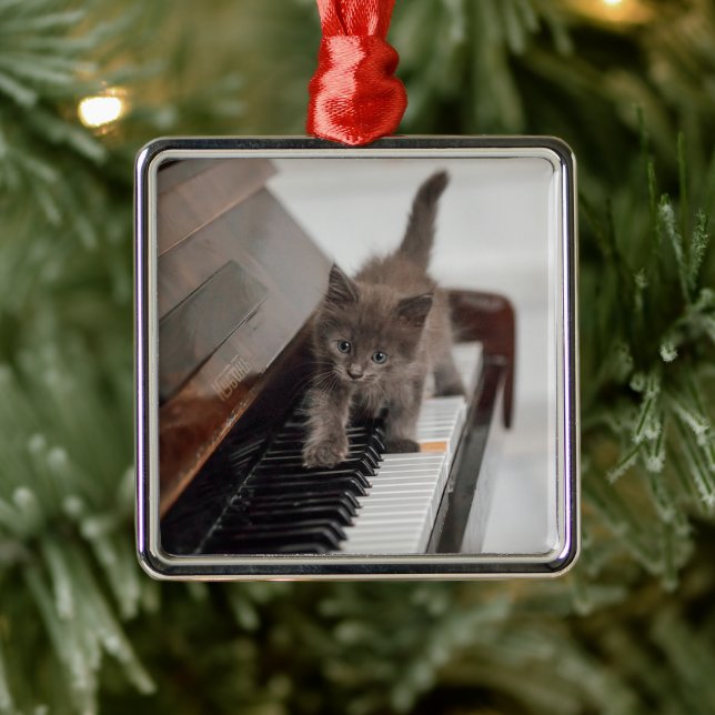 Cutest Baby djur | Kitten på Piano Julgransprydnad Metall (Träd)