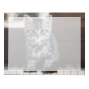 Cutest Baby djur Kitten på Piano Nycklar Anteckningsblock