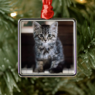 Cutest Baby djur Kitten på Piano Nycklar Julgransprydnad Metall