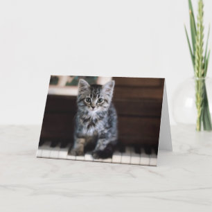 Cutest Baby djur Kitten på Piano Nycklar Kort