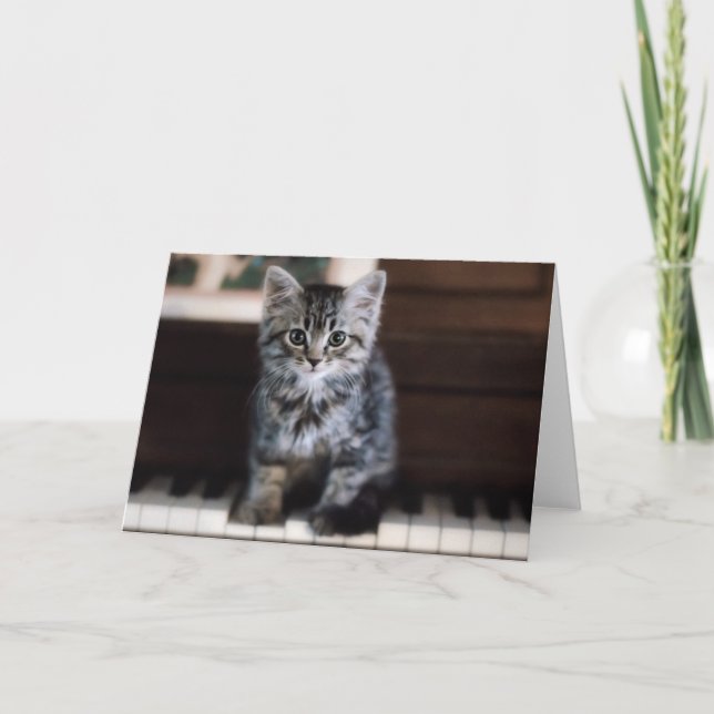 Cutest Baby djur | Kitten på Piano Nycklar Kort (Framsida)