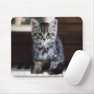 Cutest Baby djur Kitten på Piano Nycklar Musmatta