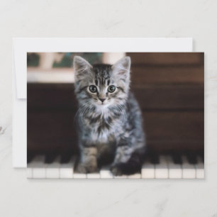 Cutest Baby djur Kitten på Piano Nycklar Tack Kort