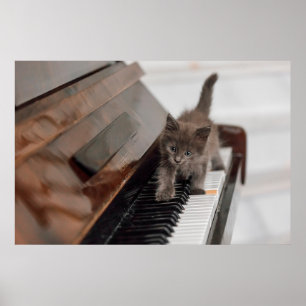 Cutest Baby djur Kitten på Piano Poster