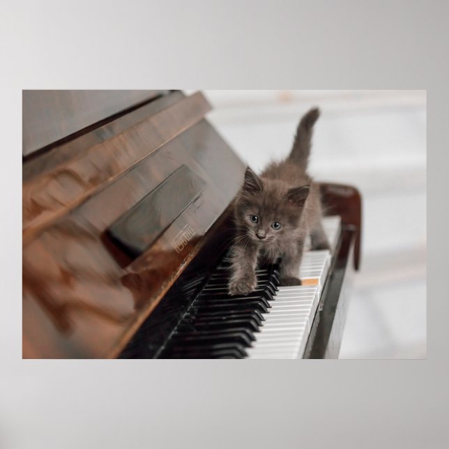Cutest Baby djur | Kitten på Piano Poster (Framsidan)
