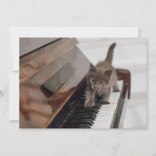 Cutest Baby djur Kitten på Piano Tack Kort