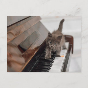 Cutest Baby djur Kitten på Piano Vykort