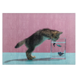 Cutest Baby djur   Kitten Tittar på Fish Bowl