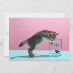 Cutest Baby djur Kitten Tittar på Fish Bowl Tack Kort