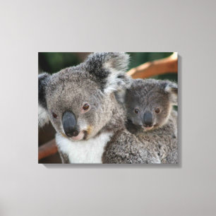 Cutest Baby djur   Koala och Joey Canvastryck