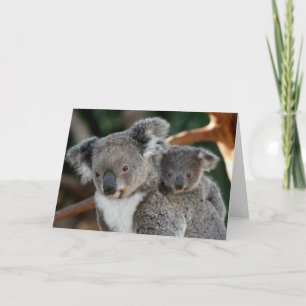 Cutest Baby djur Koala och Joey Kort
