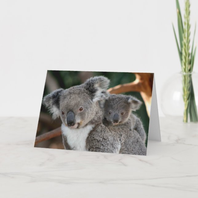 Cutest Baby djur | Koala och Joey Kort (Framsida)