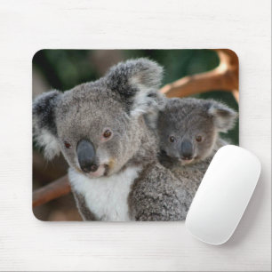Cutest Baby djur Koala och Joey Musmatta