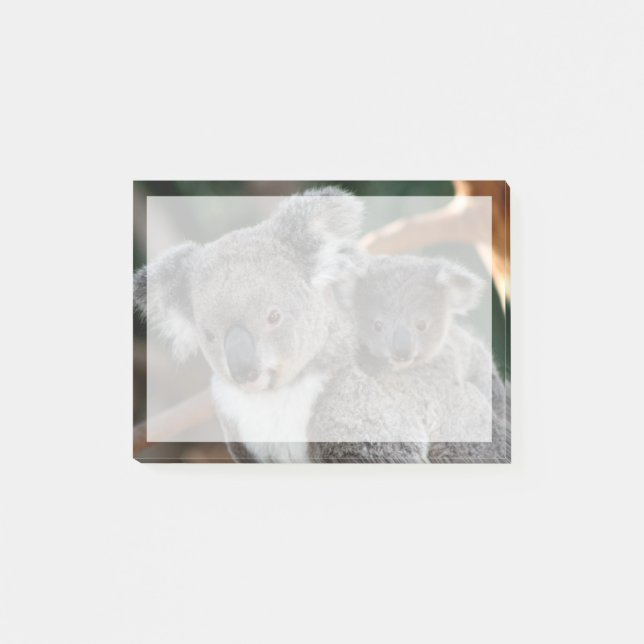 Cutest Baby djur | Koala och Joey Post-it Block (Framsida)