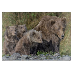 Cutest Baby djur Kodiak Mamma Bear & Unge