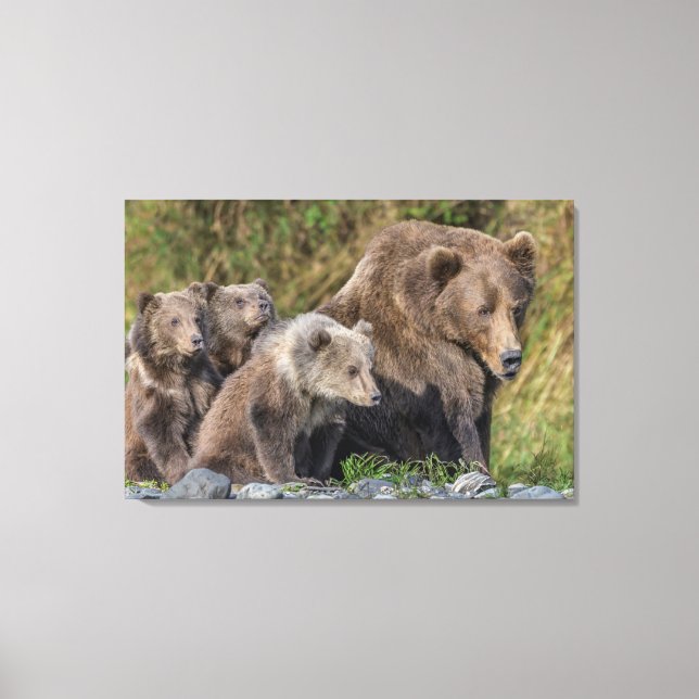 Cutest Baby djur | Kodiak Mamma Bear & Unge Canvastryck (Framsida)