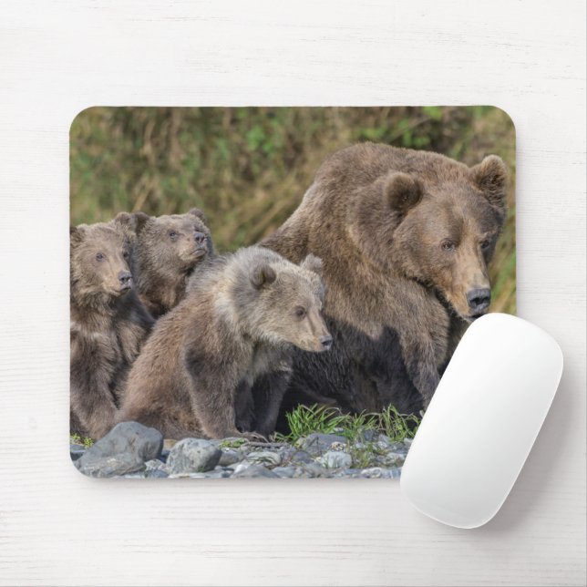 Cutest Baby djur | Kodiak Mamma Bear & Unge Musmatta (Med mus)