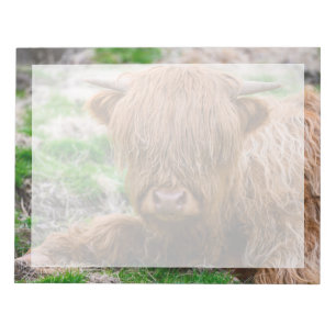 Cutest Baby djur   Kodkalv för högland Anteckningsblock