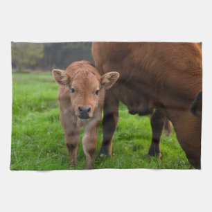 Cutest Baby djur Kund och kalv Kökshandduk