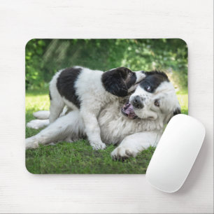Cutest Baby djur Landseer Puppy Musmatta
