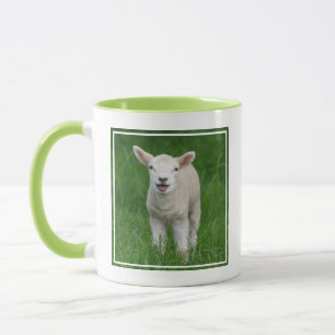 Cutest Baby djur Lil Lamb Mugg