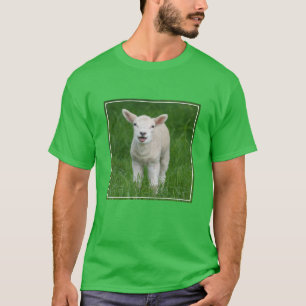 Cutest Baby djur Lil Lamb T Shirt