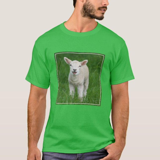 Cutest Baby djur | Lil Lamb T Shirt (Framsida)