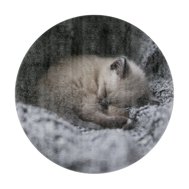 Cutest Baby djur | Liten Kitten Sleeping (Framsidan)