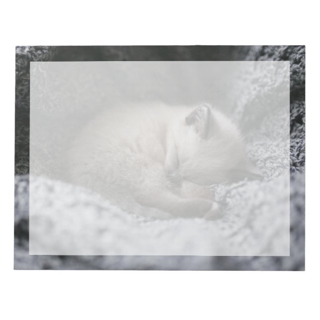 Cutest Baby djur | Liten Kitten Sleeping Anteckningsblock (Framsida)