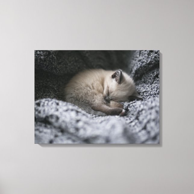 Cutest Baby djur | Liten Kitten Sleeping Canvastryck (Framsida)