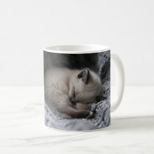 Cutest Baby djur Liten Kitten Sleeping Kaffemugg