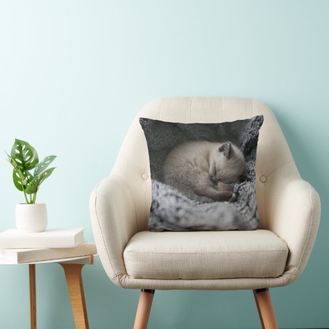 Cutest Baby djur | Liten Kitten Sleeping Kudde (Stol)