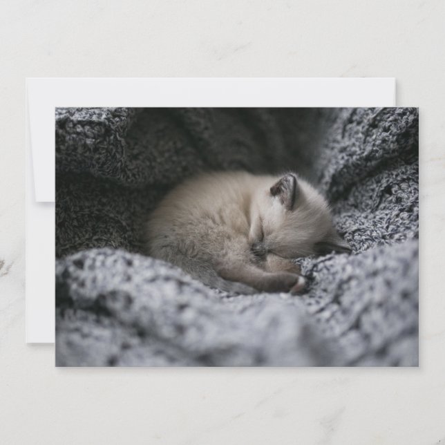 Cutest Baby djur | Liten Kitten Sleeping Tack Kort (Framsida)