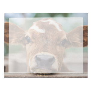 Cutest Baby djur Little Cow Calf Anteckningsblock