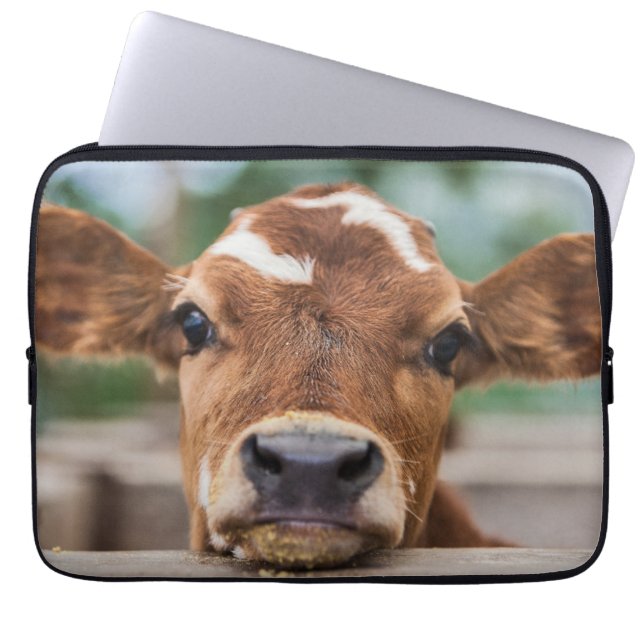 Cutest Baby djur | Little Cow Calf Laptop Fodral (Framsidan)