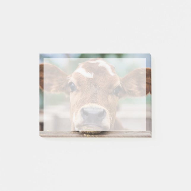 Cutest Baby djur | Little Cow Calf Post-it Block (Framsida)