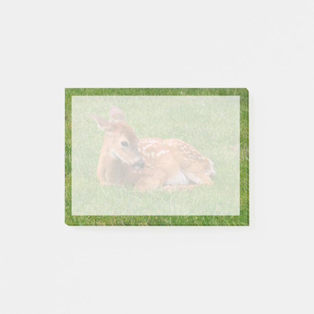 Cutest Baby djur | Little Fawn Post-it Block (Framsida)