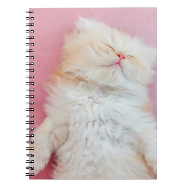 Cutest Baby djur | Loful Kitten Sleeping Anteckningsbok (Framsidan)