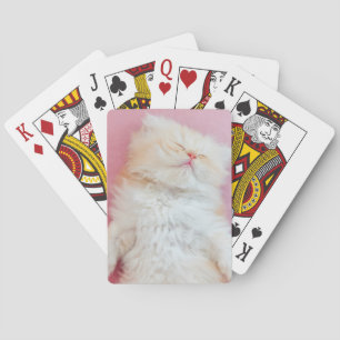 Cutest Baby djur Loful Kitten Sleeping Casinokort