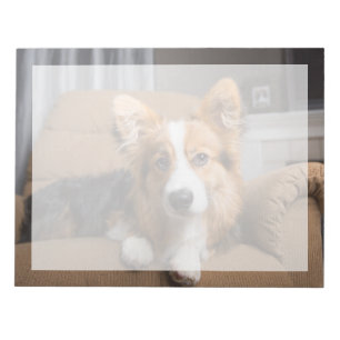 Cutest Baby djur Long Hair Corgi Puppy Anteckningsblock