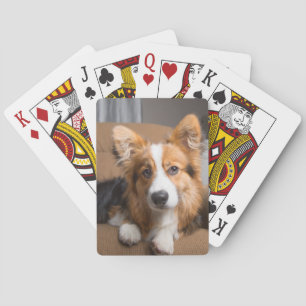 Cutest Baby djur   Long Hair Corgi Puppy Casinokort