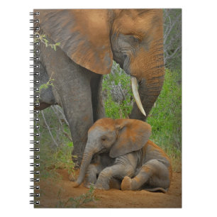 Cutest Baby djur Mamma Elephant & Baby Anteckningsbok