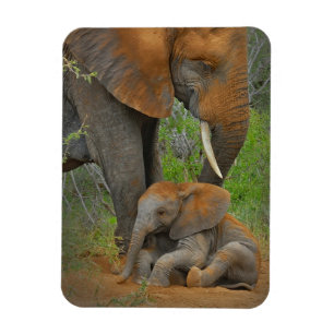 Cutest Baby djur Mamma Elephant & Baby Magnet