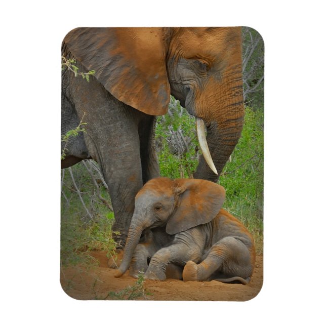 Cutest Baby djur | Mamma Elephant & Baby Magnet (Vertikal)