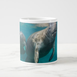 Cutest Baby djur Manatee & Baby Jumbo Mugg