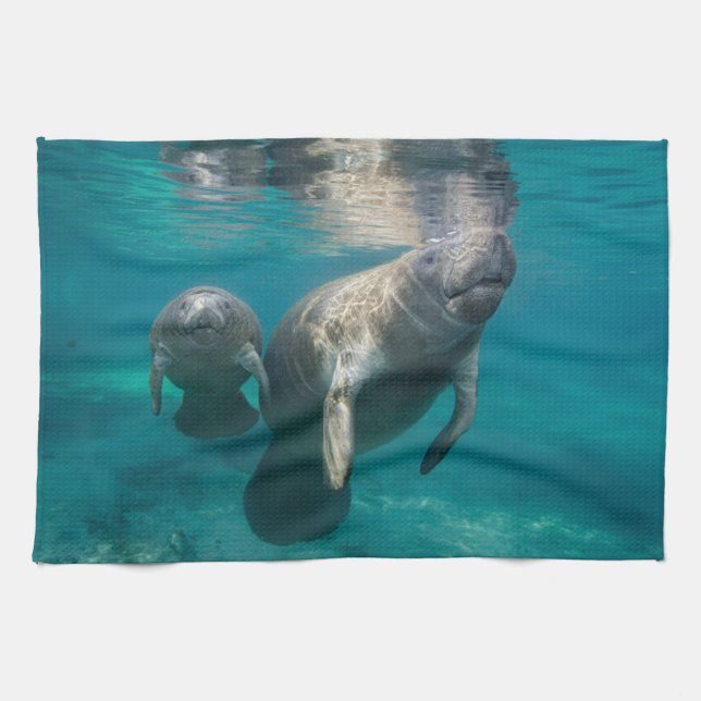 Cutest Baby djur | Manatee & Baby Kökshandduk (Horisontell)