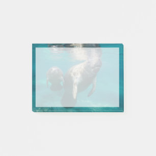 Cutest Baby djur Manatee & Baby Post-it Block
