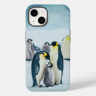 Cutest Baby djur Matat av Baby Penguin
