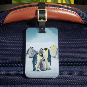 Cutest Baby djur Matat av Baby Penguin Bagagebricka