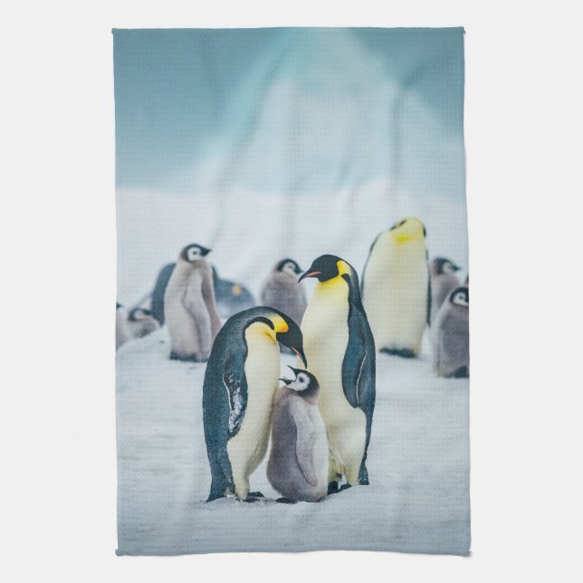 Cutest Baby djur | Matat av Baby Penguin Kökshandduk (Vertikal)